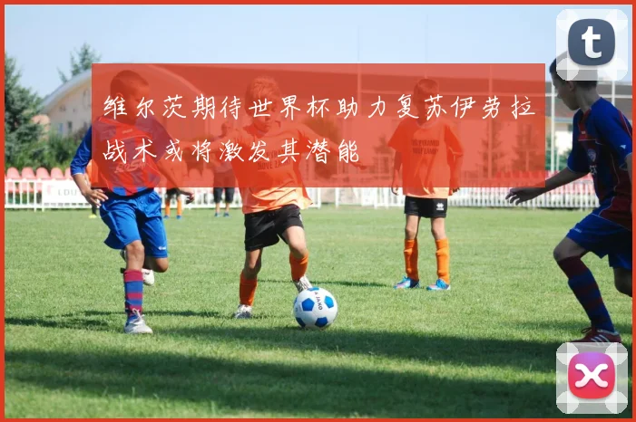 维尔茨期待世界杯助力复苏伊劳拉战术或将激发其潜能