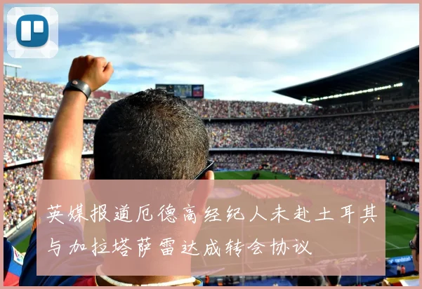 英媒报道厄德高经纪人未赴土耳其与加拉塔萨雷达成转会协议